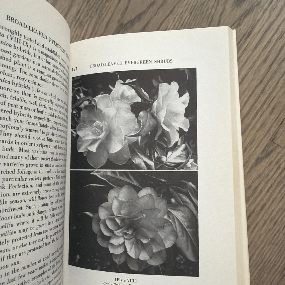 Trees and Shrubs for Pacific‎ Northwest Gardens - Paperback - VERY GOOD